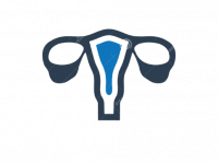 gynecology-icon-beautiful-meticulously-designed-gynecology-icon-111287908-removebg-preview